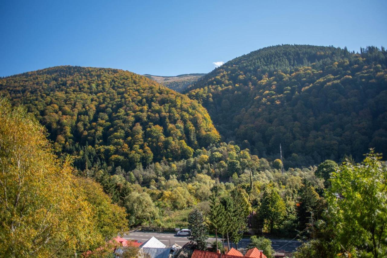 Blue Forest Studio Sinaia Eksteriør billede