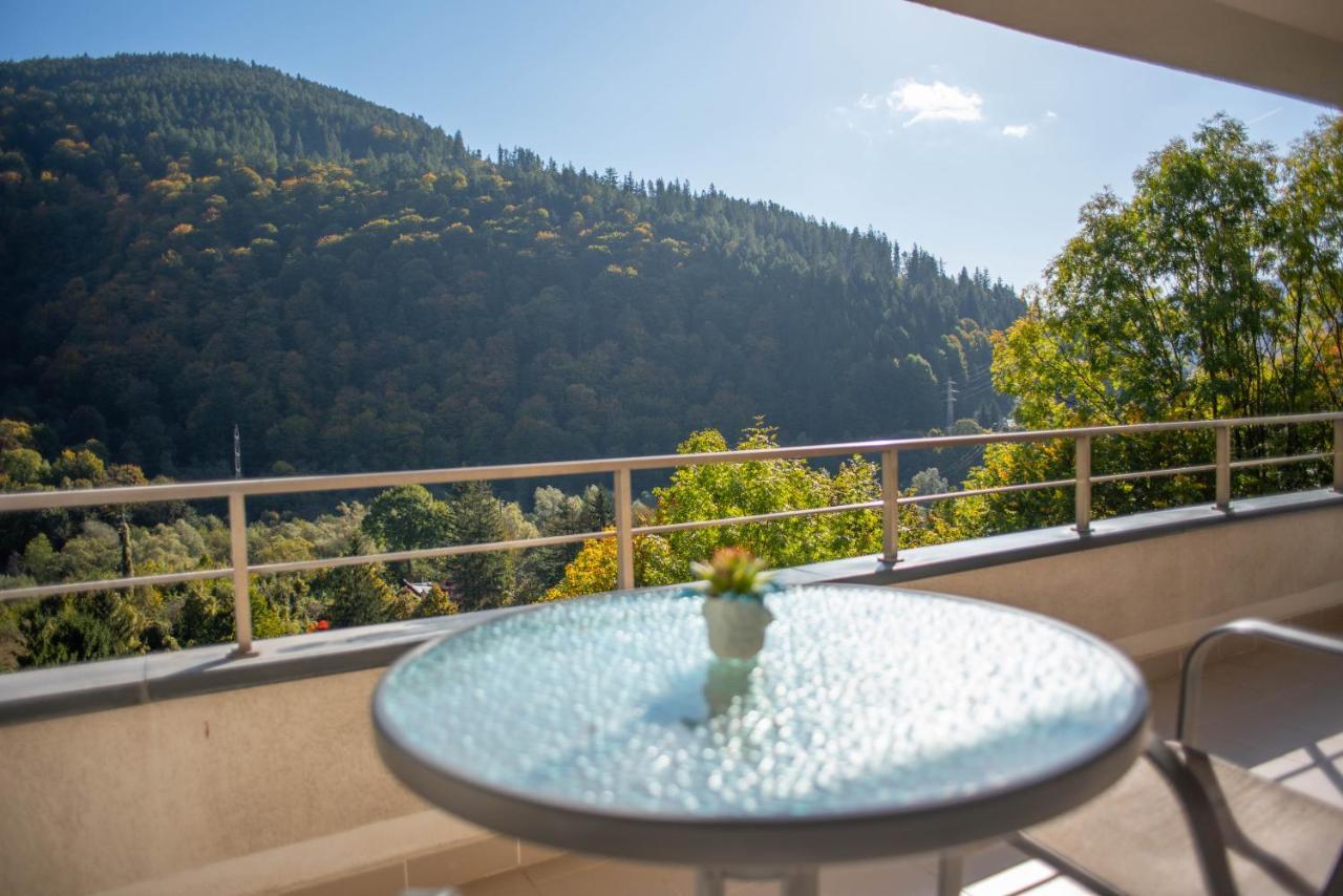 Blue Forest Studio Sinaia Eksteriør billede