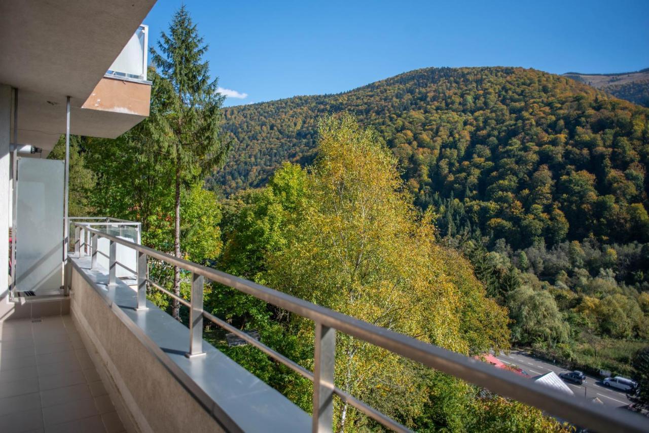 Blue Forest Studio Sinaia Eksteriør billede